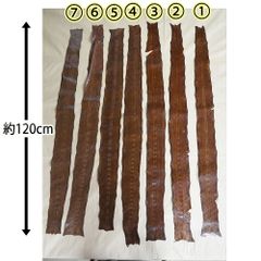 A 蛇革 へび革 ハギレ 革 ハンドメイド 約120cm　材料　レザークラフト