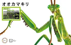 2025年最新】ゴールドカマキリの人気アイテム - メルカリ