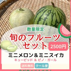 【夏のフルーツセット】　甘いスイカ（ピノガール）とメロン（ムーンライト）　送料無料　クール便