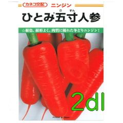 カネコ種苗　ひとみ五寸人参　２ｄｌ