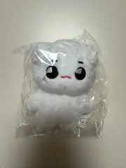 2025年最新】テヨン ぬいぐるみ nctの人気アイテム - メルカリ