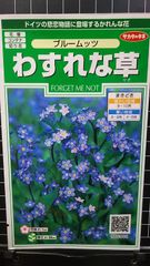 わすれな草 ブルームッツ ワスレナグサ 種 ３袋セット