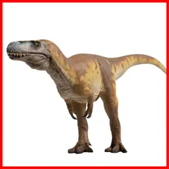 2024年最新】ティラノサウルス 歯 化石の人気アイテム - メルカリ