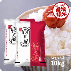 米 新之助10kg お米 10キロ 令和6年産 白米 送料無料（沖縄のぞく）