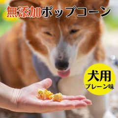 ポップコーン 犬 おやつ ドッグフード ペットフード ペット 無添加 国産 お菓子 15g 飼い主も一緒にたべれます。