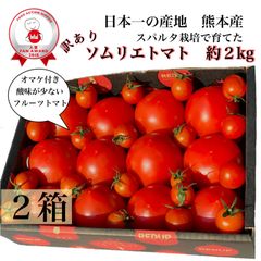 受賞歴３回！訳ありソムリエトマト　1.8〜2.8kg（8玉～16玉) ×２箱　オマケ②