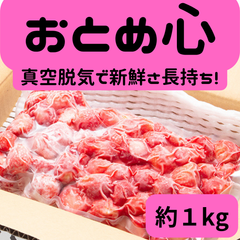 【冷凍】山形の苺「おとめ心」訳ありいちご　約1kg　冷凍いちご