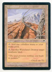 不毛の大地 [TMP] 【BIGWEB | MTG】日本最大級の激安カード