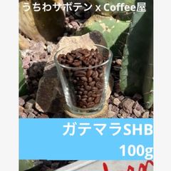 自家焙煎】ブルーマウンテンNo.1 100g - メルカリ