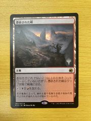 MTG 月の賢者の養子、ナシ エッチングfoil - メルカリ