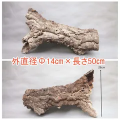 W266 ポルトガル産 キャノンコルク コルク樹皮 コルク板　バージンコルク 250802 ポルトガル産 キャノンコルク コルク樹皮 コルク板