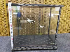 F01-20251024-12 七宝鳥 ガラスケース入り飾り（鶴2羽）　昭和レトロ　トリックアートボックス