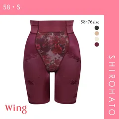 10％OFF【メール便】【SHIROHATO公式】【正規品・新品】ワコール Wacoal ウイング Wing ハミデンヌ ロング丈ガードル おなかおさえ ヒップアップ(58・S)