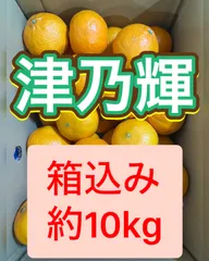 2026年最新】津之輝の人気アイテム - メルカリ