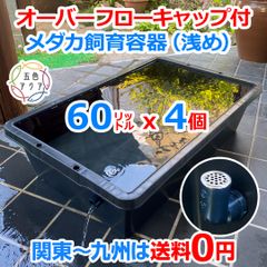 メダカ飼育ケース 60㍑トロ舟x5個 オーバーフロー 金魚飼育容 メダカ