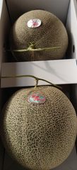 長崎県 肥後グリーンメロン訳あり 大玉4L 甘くて美味しい💕