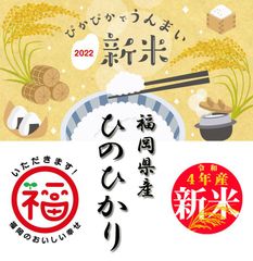 米 10kg 送料無料 新米 ひのひかり 白米 ヒノヒカリ 美味しい 激安 お得