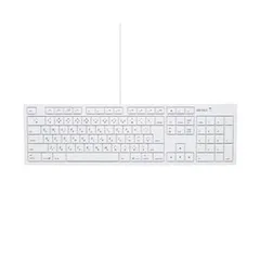 全3色/黒/赤/ベージュ (まとめ)バッファロー USB接続 有線キーボード
