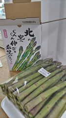 ★北海道産★農薬＆除草剤不使用　奇跡のグリーンアスパラガス1.5kg