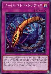 [중고]유희왕 SD41-JP040[N]:버제스토마·카나디아