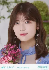 【中古】生写真(乃木坂46) 岩本蓮加/バストアップ/2022 福袋 Lucky Bag 「カレンダー衣装」