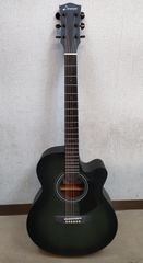 ◆donner アコースティックギター EC2076 グリーン
