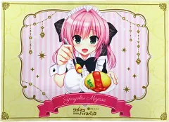 2025年最新】宮瀬未尋の人気アイテム - メルカリ