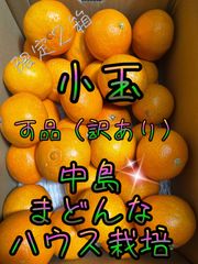 中島まどんな　小玉　可品（訳あり）