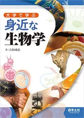 2025年最新】吉村弘の人気アイテム - メルカリ