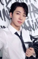 【中古】コレクションカード(男性) SEVENTEEN/ウォヌ(WONWOO)/CD「HAPPY BURSTDAY」(DAREDEVIL Ver.)封入フォトカード