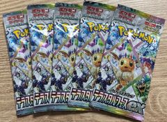 テラスタルフェスEX 5パック