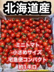 ミニトマト　ハネ品　約1.1キロ　フルーツミニトマト　小さめ　北海道　おまけ　カラーミニトマトのサムネイル