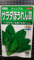 サラダ ほうれん草 ディンブル ホウレンソウ 種 ３袋セット