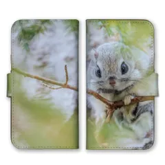 2025年最新】エゾモモンガの人気アイテム - メルカリ