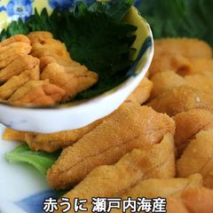 赤うに 約40～45gX1枚 瀬戸内海産 板うに ウニ 雲丹 生（冷蔵便）