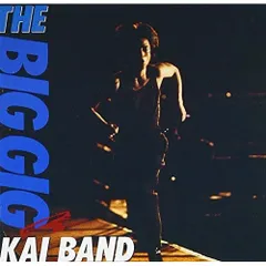 甲斐バンド　THE BIG GIG AGAIN　DVD CD　甲斐よしひろ Amazon.co.jp: THE BIB GIG AGAIN [DVD] : 甲斐バンド, 甲斐よしひろ
