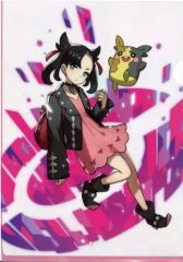 [Used] Clear File [Single Item] Marnie A4 Clear File Pokemon Trainers "Pocket Monsters" Pokemon Center Limited