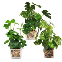 飾り インテリア 人工観葉植物 世話いらず 造花 鉢植え 卓上 水やり不要 観葉植物 フェイク オフィス スイカの葉 クローバー モンステラ ホーム 3点セット フェイクグリーン デコレーション 光触媒 Lilizero