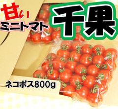 静岡県産ミニトマト　千果　800ｇ