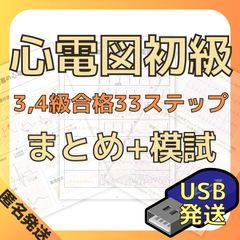 [USB(PDF)]心電図初級編3,4級合格33ステップ+模試