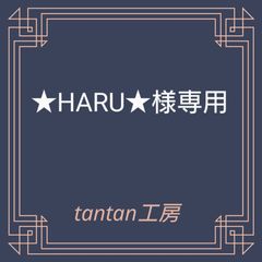 ★HARU★様専用　クッキーセット