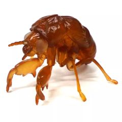[중고] 트레이딩 피겨 세미의 벗겨진 껍질 카드 스탠드 데스크탑 피겨 [이치 반 쿠지 곤충 LIFE with INSECT] E상