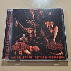 Human Mastication - Flesh Disgorged / The Gallery Of Guttural Perversion デスメタル Split