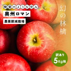 りんごの概念変わる甘さ！見た目と重さが気になる方は購入しないでください！「奥州ロマン5キロ訳あり品」蜂蜜のような甘さ 幻の林檎 農林水産大臣賞 りんご 長野県産 安曇野 信州産 産地直送 送料無料 5キロ 箱使用 果物 フルーツ 産地直送 超希少品種