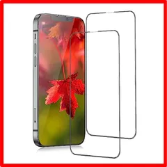 【匿名配送】 iPhone 13PROMAX_HD（全面保護） iPhone13 pro max ガラスフィルム 全面保護 iphone13promax ガラス