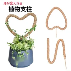 植物支柱　64cm　1本　変形可能タイプ　ココナッツ支柱　園芸支柱　天然　ココナッツ　支柱　観葉植物　モンステラ　ポトス　フィロデンドロン　シンゴニウム　ホヤ　つる性植物等にのサムネイル