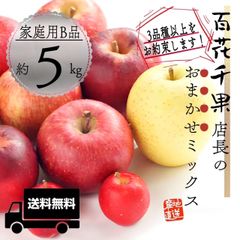 青森県産 " 店長おまかせミックス " りんご【家庭用B品5kg】【送料無料】【農家直送】林檎 リンゴ