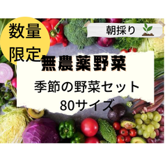 季節の旬の野菜セット80サイズ