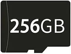 ANBERNIC RG34XXSP/RG34XX/RG35XX+/RG35XX 2024/RG35XX Plus/RG35XXH/RG28XX/RG35XXSP/RG40XXH/RG40XXV/RG CUBEXX対応 ゲーム機用メモリカード 256GBカード