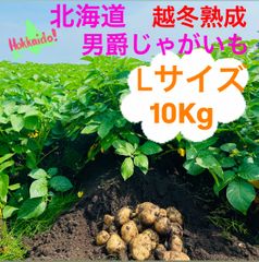 北海道　男爵じゃがいもL  10kg